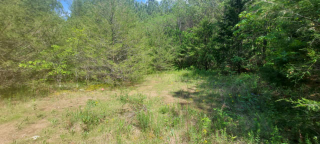 42.43 ACRE HORNS CREEK ROAD, OLD FORT, TN 37362, photo 2 of 11