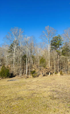 8.24 AC COUNTY ROAD 130, RICEVILLE, TN 37370, photo 4 of 7