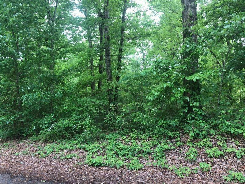 LOT 40 MCCLANAHAN DRIVE NW, CLEVELAND, TN 37312, photo 1