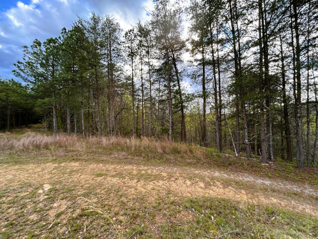 TRACT 3 SW OWL HOLLOW RD, MCDONALD, TN 37353, photo 1 of 9