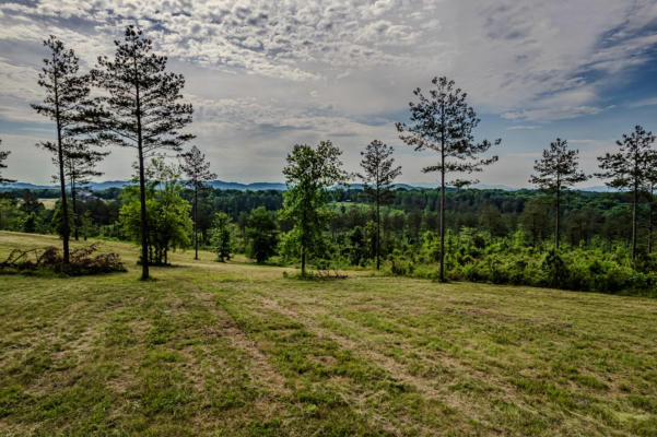 250 COUNTY ROAD 351, SWEETWATER, TN 37874 - Image 1