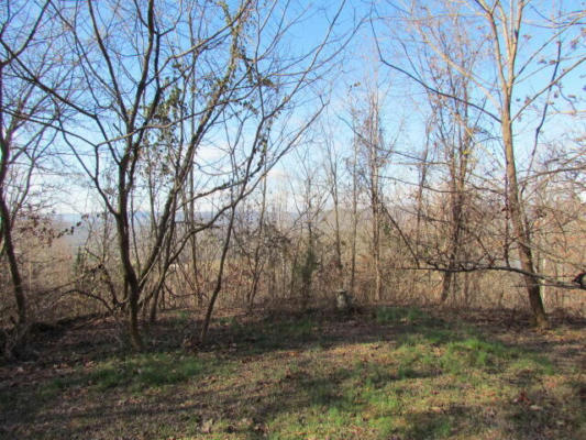 860 DITCH GAP RD, WHITWELL, TN 37397 - Image 1