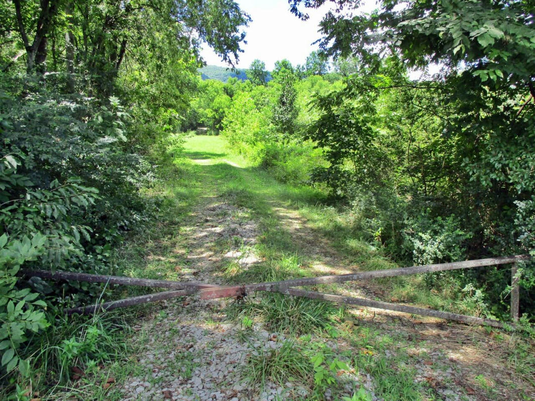 00 RHEA COUNTY HIGHWAY, EVENSVILLE, TN 37332, photo 1 of 31