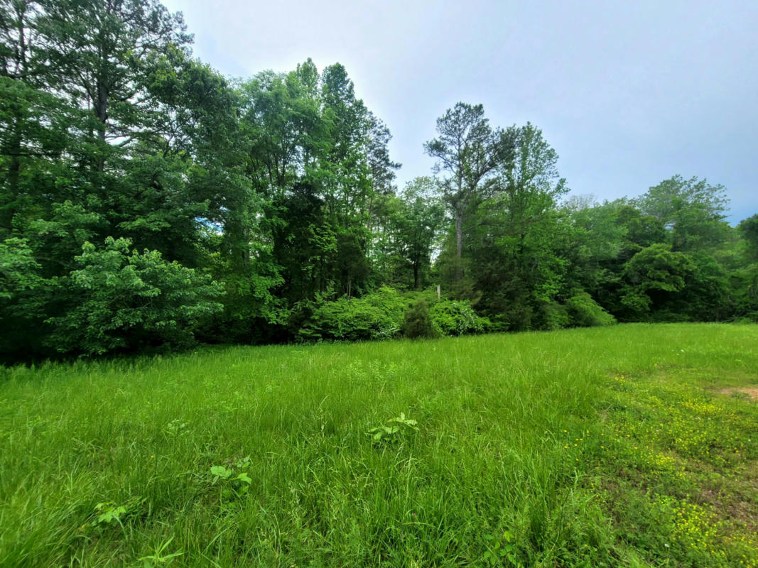 0 WOLF CREEK ROAD OFF, SPRING CITY, TN 37381, photo 1 of 17