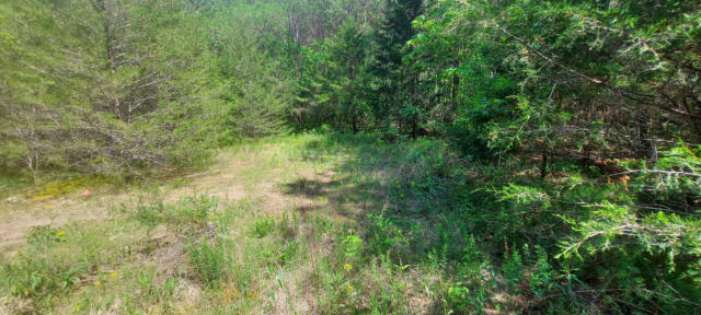 42.43 ACRE HORNS CREEK ROAD, OLD FORT, TN 37362, photo 3 of 11