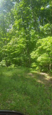42.43 ACRE HORNS CREEK ROAD, OLD FORT, TN 37362, photo 5 of 11