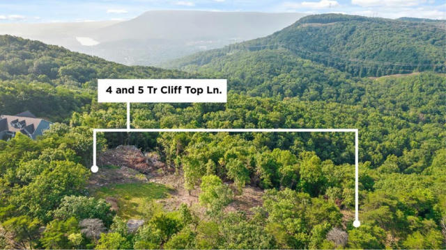 5 CLIFF TOP LN, CHATTANOOGA, TN 37419 - Image 1